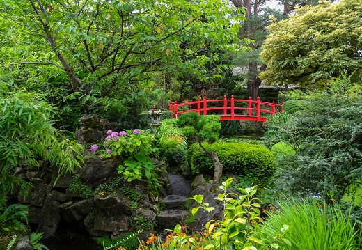 Kildare Irish National Stud &amp; Japanese Gardens 32