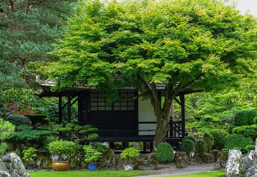 Kildare Irish National Stud &amp; Japanese Gardens 36