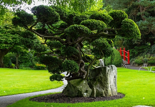 Kildare Irish National Stud &amp; Japanese Gardens 37
