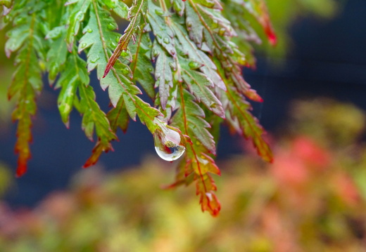 Goutte de pluie 02